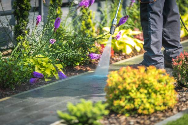 Professional Pressure Washing Services in Owingsville, KY