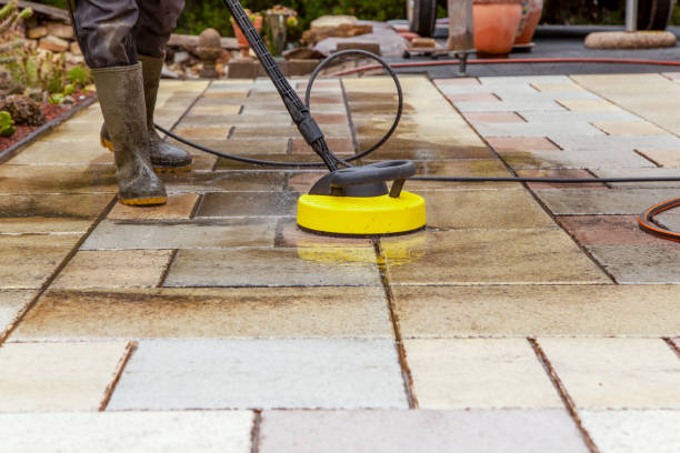 Best Gutter Cleaning  in Owingsville, KY